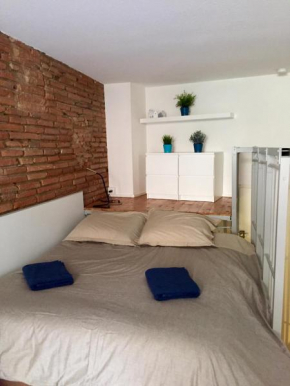 Гостиница Le petit Moulin, duplex hypercentre Toulouse  Тулуза